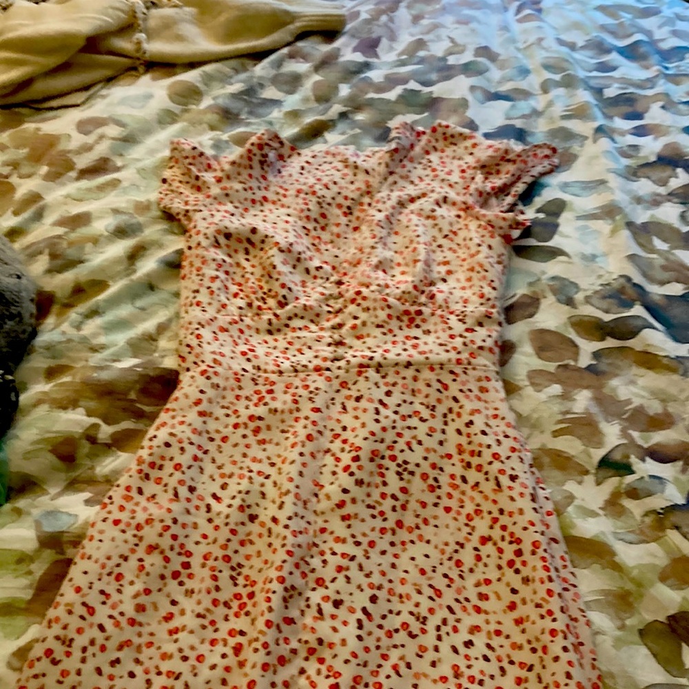 BB Dakota falling petals midi dress